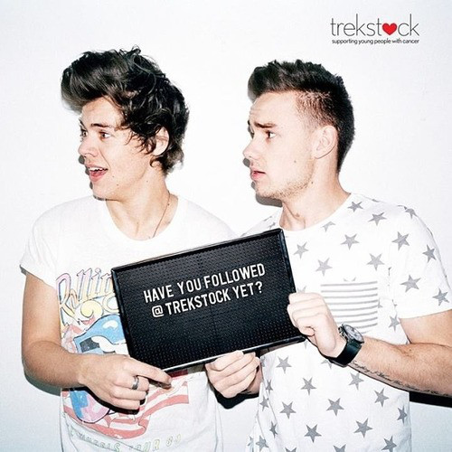 Harry Styles, Liam Payne, Trekstock Harry Styles, Liam Payne, Trekstock